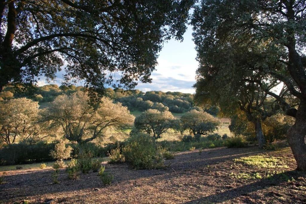 Casa Rural Finca Requejo Cerca De Benavente Tr 49426 Manganeses de la Polvorosa Exterior foto